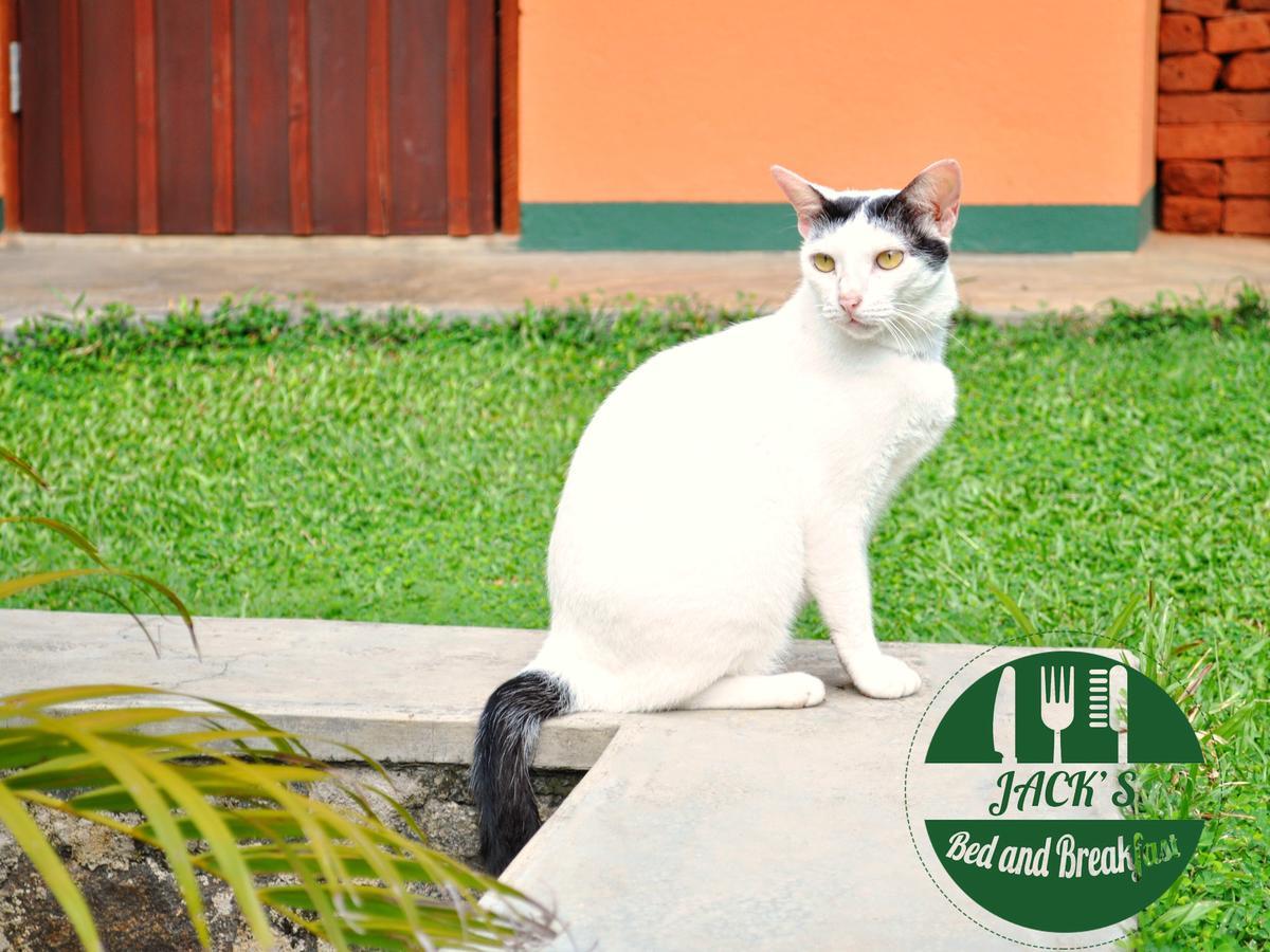 Jacks Bed And Breakfast Talpe Ngoại thất bức ảnh